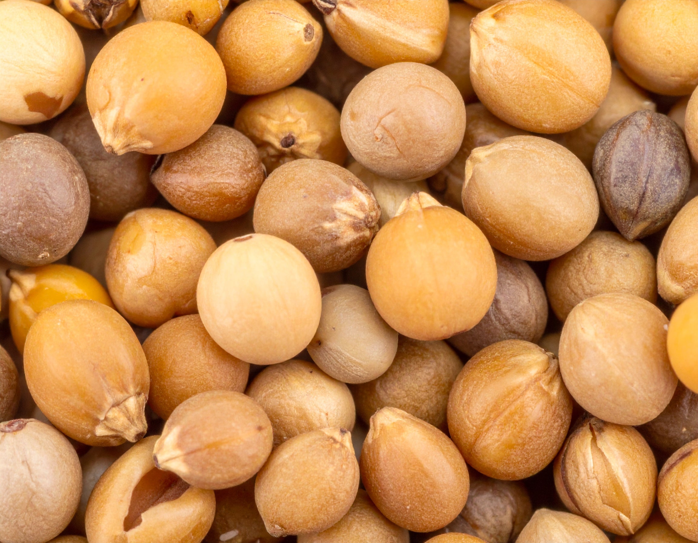 De leukste quotes en teksten om te laten borduren